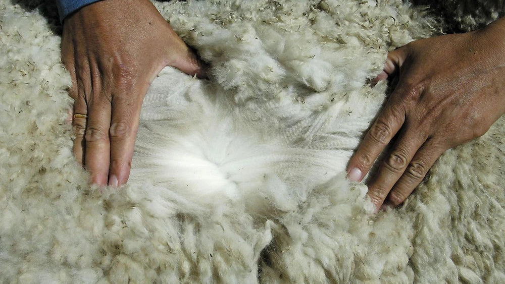 pull en laine