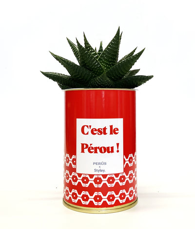 C'est le Pérou ! - Limifolia - Perús x Styley - Accessoires - Perus